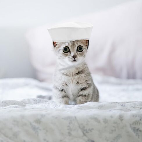 Mini Sailor Hat for Pets Cute Pet Costume Accessory for Parties Festivals and Cosplay Dog Cat Headwear for Halloween and Birthdays in Saudi Arabia