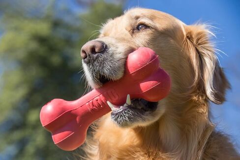 KONG Goodie Bone - Treat Dispensing Natural Rubber Bone - Red - for Large Dogs (2 Pack) in Saudi Arabia
