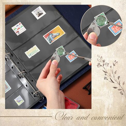 Lewtemi Collecting Collecting Collection Collection Book Collection Collection Collection 20 Pages Binder Tweezer و Loop Magnifier جمع لوازم الجمع (الأزرق ، 1/2/3/4 صفوف) in Kuwait