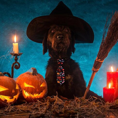 Frienda 32 Pcs Halloween Dog Bow Ties for Dogs Halloween Dog Collars Adjustable Dog Bow Ties Neckties Pumpkin Ghost Pet Bowtie Collar Accessories for Halloween Dog Pet Costume Decoration in Saudi Arabia