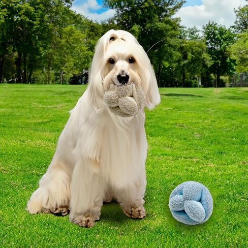 Lambwolf Monti- Enrichment and Interactive Dog Toy | Puzzle Dog Toy in Saudi Arabia