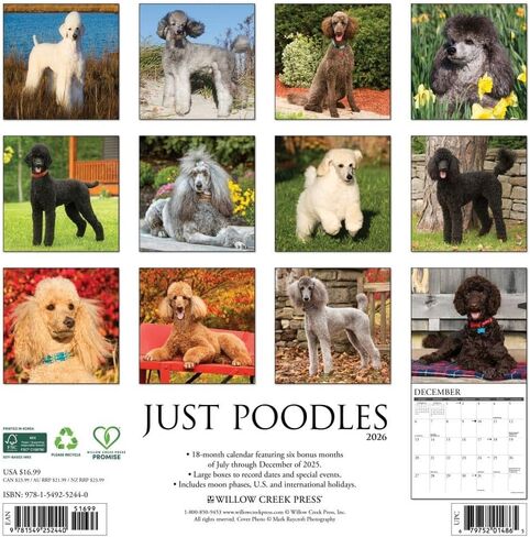 Poodles 2026 12" x 12" Wall Calendar in Saudi Arabia