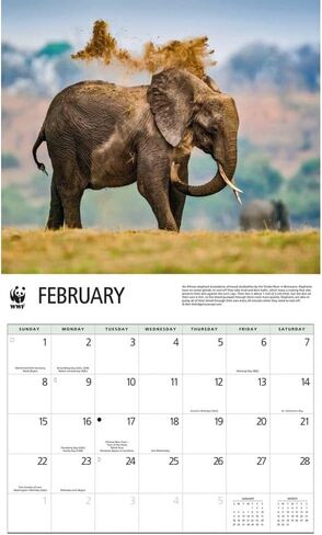 Elephants WWF 2026 Wall Calendar, 12.01'' X 14.09'', 16-Month Calendar with Stapled Binding in Saudi Arabia