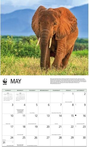 Elephants WWF 2026 Wall Calendar, 12.01'' X 14.09'', 16-Month Calendar with Stapled Binding in Saudi Arabia