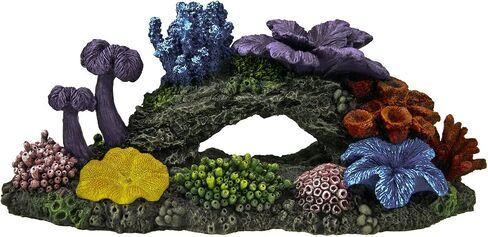 Blue Ribbon EE-1491 Hawaiian Reef Exotic Environments Aquarium Ornament ، Small in Saudi Arabia