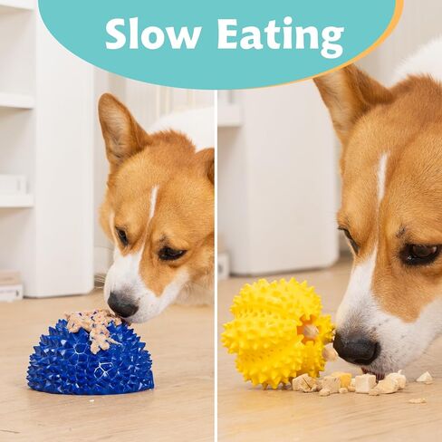 4 عبوة لعبة مضغ الكلاب ، أقراص طيران متينة لرمي ألعاب الصيد ، 3 في 1 كلاب ، لعبة مضغ الحيوانات الأليفة غير القابلة للتدمير لمضغ العدوانية ، تقلل من القلق ، والألعاب التفاعلية لتنظيف أسنان الكلاب الملل in Kuwait