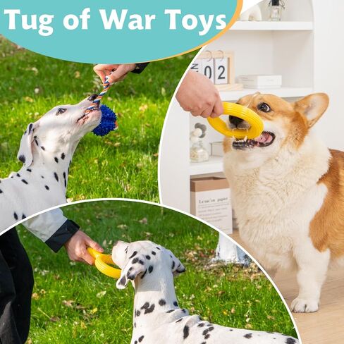 4 عبوة لعبة مضغ الكلاب ، أقراص طيران متينة لرمي ألعاب الصيد ، 3 في 1 كلاب ، لعبة مضغ الحيوانات الأليفة غير القابلة للتدمير لمضغ العدوانية ، تقلل من القلق ، والألعاب التفاعلية لتنظيف أسنان الكلاب الملل in Kuwait