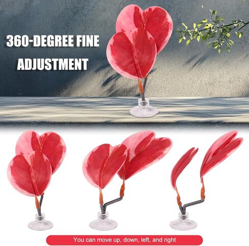 4pcs Betta Leaf أرجوحة ، 4 أنماط قابلة للتعديل بلاستيك بيتا سرير بقعة بقعة صغيرة من زخارف زخارف زخارف زخرفة مع كوب شفط وقوس لأسماك الحرير بأربعة عيون غوبي للراحة (أحمر) in Kuwait