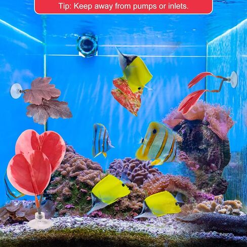 4pcs Betta Leaf أرجوحة ، 4 أنماط قابلة للتعديل بلاستيك بيتا سرير بقعة بقعة صغيرة من زخارف زخارف زخارف زخرفة مع كوب شفط وقوس لأسماك الحرير بأربعة عيون غوبي للراحة (أحمر) in Kuwait