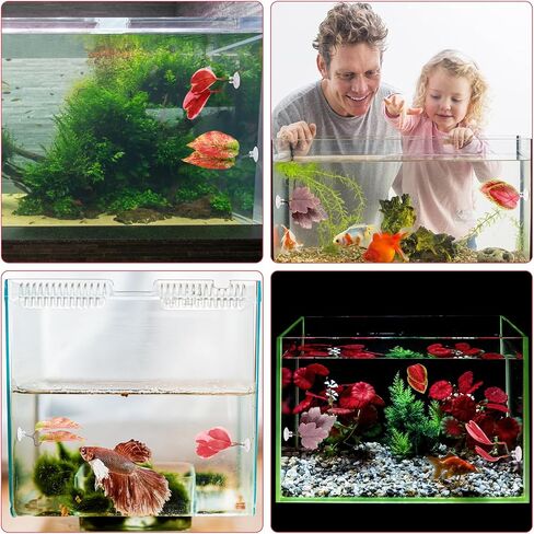 4pcs Betta Leaf أرجوحة ، 4 أنماط قابلة للتعديل بلاستيك بيتا سرير بقعة بقعة صغيرة من زخارف زخارف زخارف زخرفة مع كوب شفط وقوس لأسماك الحرير بأربعة عيون غوبي للراحة (أحمر) in Kuwait