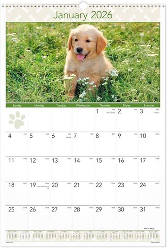AT-A-GLANCE® 2026 FUPPIES MONTHLALAL SALENDAR ، كبير ، 15 1/2 "× 22 3/4" in Saudi Arabia