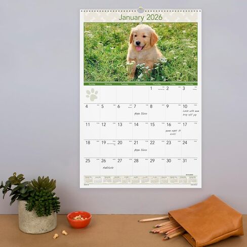 AT-A-GLANCE® 2026 FUPPIES MONTHLALAL SALENDAR ، كبير ، 15 1/2 "× 22 3/4" in Saudi Arabia