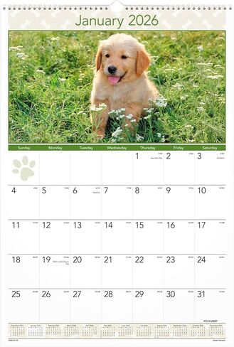 AT-A-GLANCE® 2026 FUPPIES MONTHLALAL SALENDAR ، كبير ، 15 1/2 "× 22 3/4" in Saudi Arabia