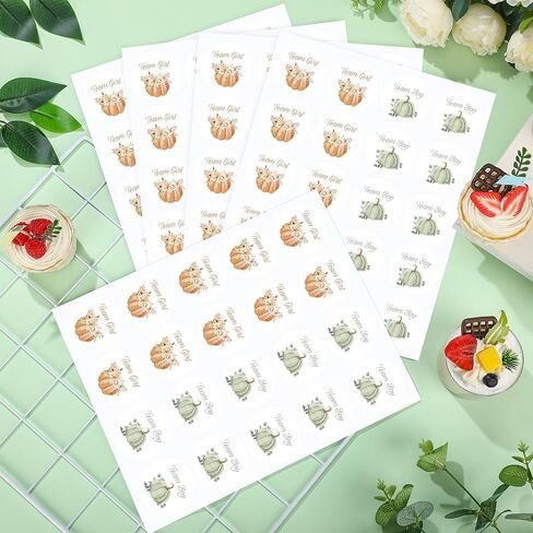 Honoson 100 Pcs Boho Pumpkin Gender Reveal Stickers 2 Inches Orange Green Team Boy or Girl Baby Shower Labels Sticker He or She Paper Decals for Baby Shower Gender Reveal Party Supplies in Saudi Arabia