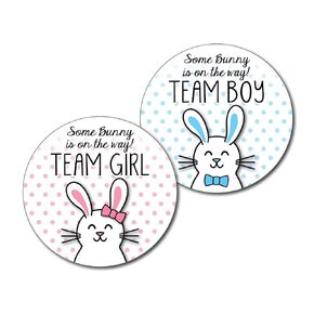 36 2.5 inch Bunny Gender Reveal Party Stickers