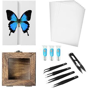 20 Pieces Insect Pinning kit，Bug Pinning kit for Science Classroom Science Education，This Will be The for Insect Taxidermy Collectors and Art Enthusiasts!