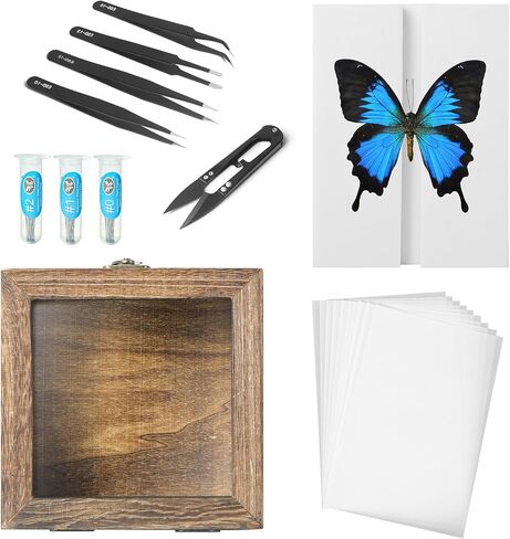 20 Pieces Insect Pinning kit，Bug Pinning kit for Science Classroom Science Education，This Will be The for Insect Taxidermy Collectors and Art Enthusiasts! in Saudi Arabia