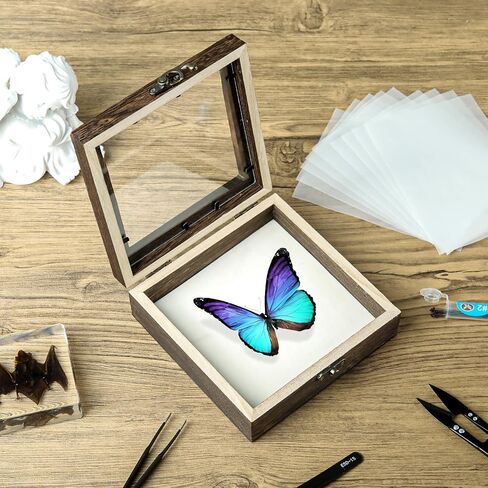 20 Pieces Insect Pinning kit，Bug Pinning kit for Science Classroom Science Education，This Will be The for Insect Taxidermy Collectors and Art Enthusiasts! in Saudi Arabia