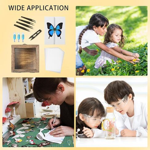 20 Pieces Insect Pinning kit，Bug Pinning kit for Science Classroom Science Education，This Will be The for Insect Taxidermy Collectors and Art Enthusiasts! in Saudi Arabia