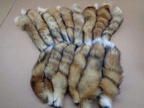 Red Fox Tail #1 Quality XL Tanned Fox Tail in Kuwait