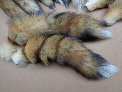 Red Fox Tail #1 Quality XL Tanned Fox Tail in Kuwait