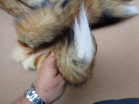 Red Fox Tail #1 Quality XL Tanned Fox Tail in Kuwait