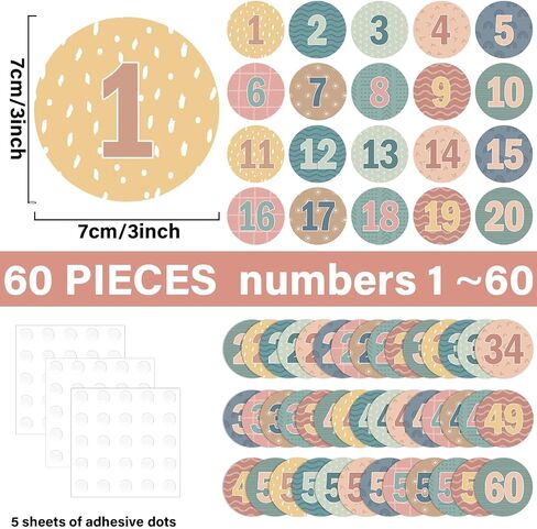 60Pcs Boho Number Cutouts Number 1 to 60 Rainbow Bulletin Board Accent Cutouts Boho Laminated Student Numbers Classroom Circle Numbers Stickers for Toddler Kids Preschool Elementary School Decorations in Saudi Arabia