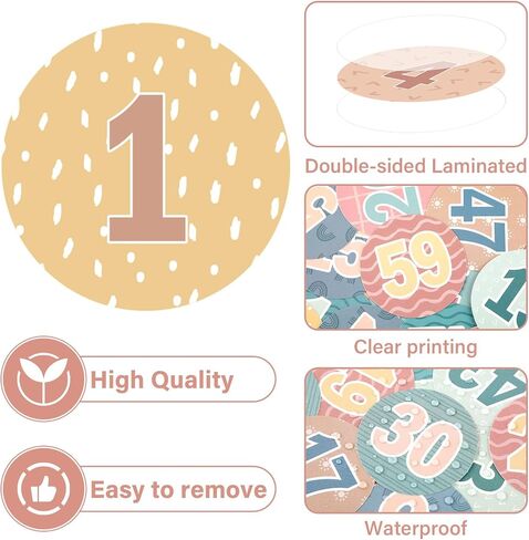 60Pcs Boho Number Cutouts Number 1 to 60 Rainbow Bulletin Board Accent Cutouts Boho Laminated Student Numbers Classroom Circle Numbers Stickers for Toddler Kids Preschool Elementary School Decorations in Saudi Arabia