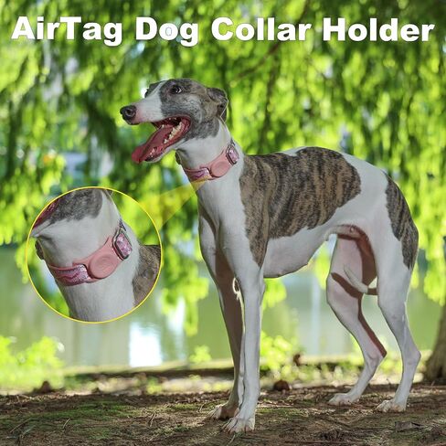 AirTag Dog Collar, Reflective Nylon, Metal Buckle, IP68, Dog Collar with AirTag Holder, Heavy Duty Dog Collars for Large Medium Small Dogs (Lavender Purple, L：Width 1",Neck 16.1"-25.2") in Saudi Arabia