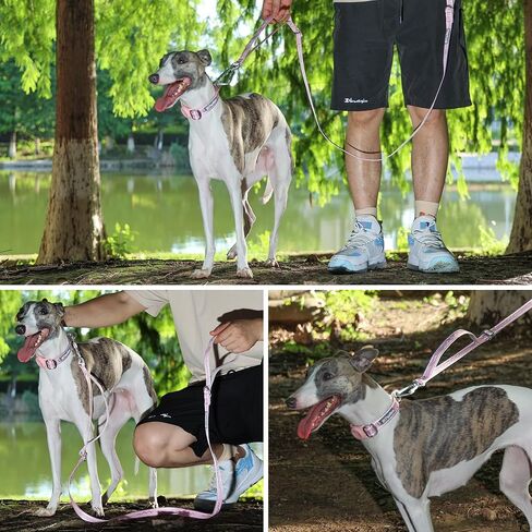 AirTag Dog Collar, Reflective Nylon, Metal Buckle, IP68, Dog Collar with AirTag Holder, Heavy Duty Dog Collars for Large Medium Small Dogs (Lavender Purple, L：Width 1",Neck 16.1"-25.2") in Saudi Arabia