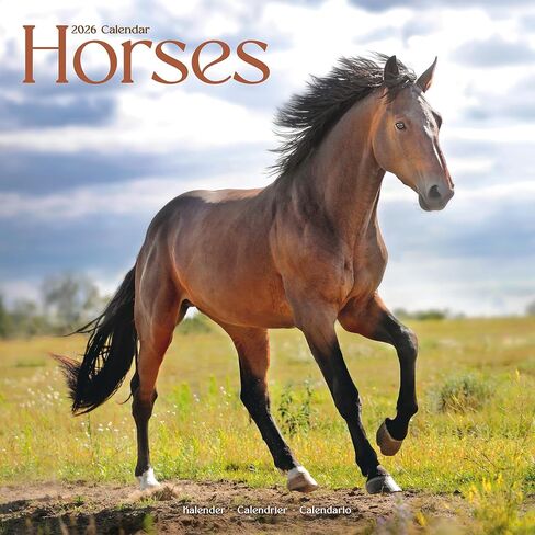 Horses Calendar 2026 | 12 Month Wall Calendar | Avonside Publishing | Plastic Free Packaging in Saudi Arabia