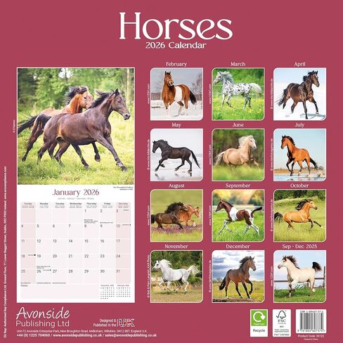 Horses Calendar 2026 | 12 Month Wall Calendar | Avonside Publishing | Plastic Free Packaging in Saudi Arabia