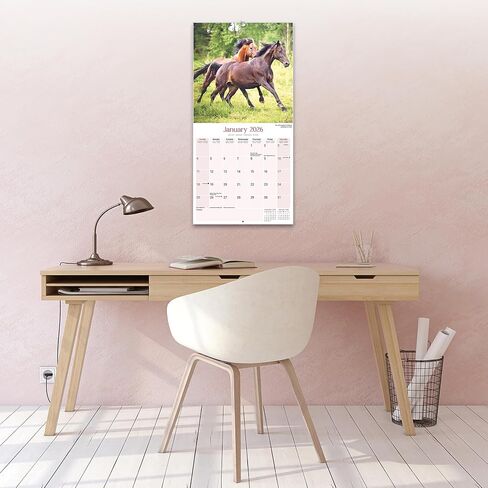 Horses Calendar 2026 | 12 Month Wall Calendar | Avonside Publishing | Plastic Free Packaging in Saudi Arabia
