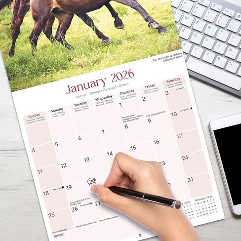 Horses Calendar 2026 | 12 Month Wall Calendar | Avonside Publishing | Plastic Free Packaging in Saudi Arabia