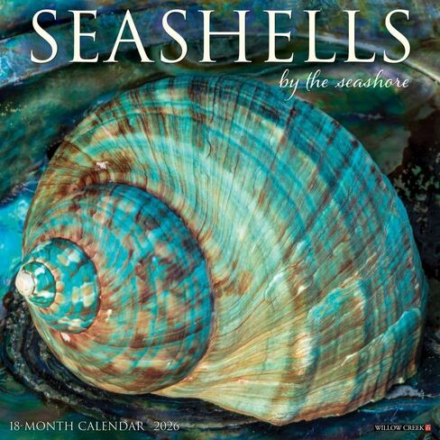 Seashells 2026 12 "× 12" تقويم الجدار in Saudi Arabia