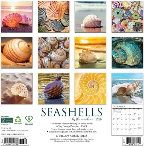 Seashells 2026 12 "× 12" تقويم الجدار in Saudi Arabia