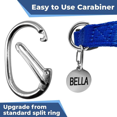 GoTags Pet Tag Carabiner, Stainless Steel Cat and Dog Tag Clip, Strong Durable Quick Connect to Pet Collars, Easy Upgrade for Split Ring Small and Large, Pack of 3 in Kuwait