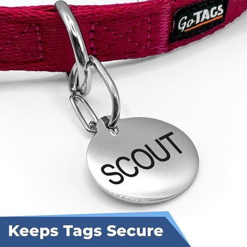 GoTags Pet Tag Carabiner, Stainless Steel Cat and Dog Tag Clip, Strong Durable Quick Connect to Pet Collars, Easy Upgrade for Split Ring Small and Large, Pack of 3 in Kuwait