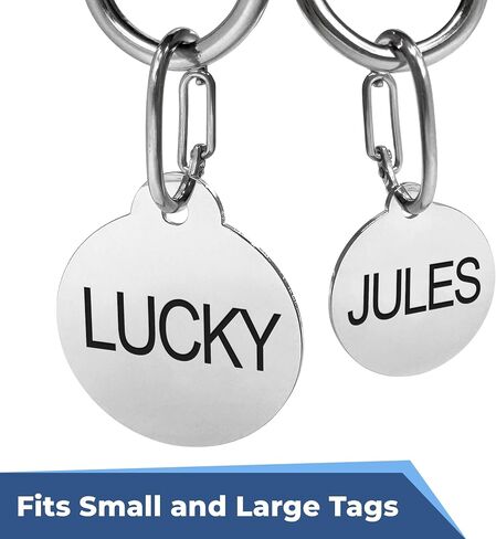 GoTags Pet Tag Carabiner, Stainless Steel Cat and Dog Tag Clip, Strong Durable Quick Connect to Pet Collars, Easy Upgrade for Split Ring Small and Large, Pack of 3 in Kuwait