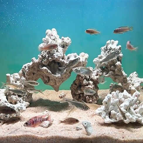 Natural Crushed Fish Tank Premium Coral Filter for Aquarium Crushed Coral 1LB with Mesh Bag for Freshwater Aquarium Bio Ceramic Filter Media Fish Tank Filtration Material Pond Filter Media Reusable in Saudi Arabia
