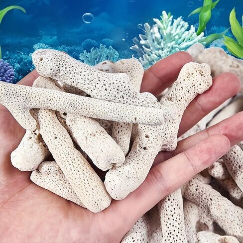 Natural Crushed Fish Tank Premium Coral Filter for Aquarium Crushed Coral 1LB with Mesh Bag for Freshwater Aquarium Bio Ceramic Filter Media Fish Tank Filtration Material Pond Filter Media Reusable in Saudi Arabia