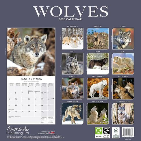 Wolves Calendar 2026 | 12 Month Wall Calendar | Avonside Publishing | Plastic Free Packaging in Saudi Arabia