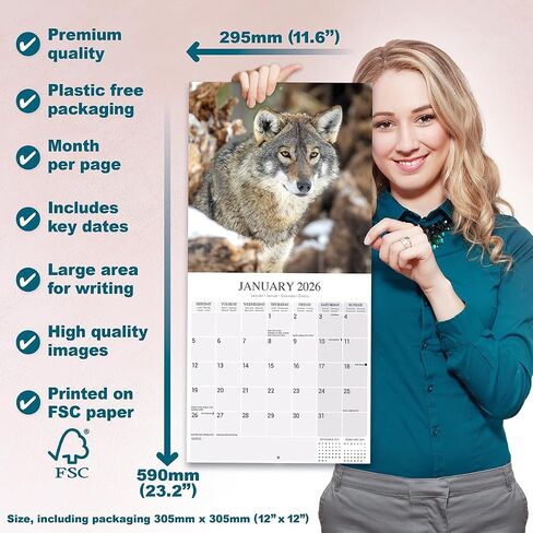 Wolves Calendar 2026 | 12 Month Wall Calendar | Avonside Publishing | Plastic Free Packaging in Saudi Arabia