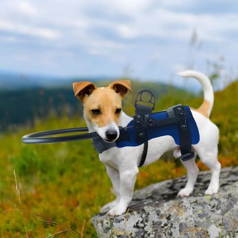 Halo Harness for Blind Dogs, Protective Dog Collar with Adjustable Strap, Blue Blind Dog Protection Halo, Comfortable, Lightweight, Ideal for Dogs 4-10kg, Neck Size 28-40cm in Saudi Arabia