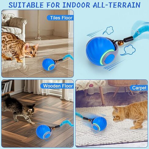 Dr. Fluffyyes ™ Interactive Cat Toy Ball-كرة قابلة للتنشيط بالحركة ، مع إعادة شحن USB مع غطاء مضاد للخلع و 2 ذيول قابلة للتغيير-لعبة الإثراء الداخلية الممتعة للقطط والقطط النشطة (Orange) in Kuwait