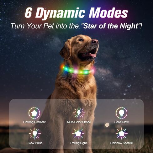LED Cog Collar ، طوق الكلب الإضاءة ، USB قابلة للشحن - ألمع أضواء الكلاب للمشي الليلي ، 6 أوضاع ضوئية ، قابلة للتعديل لسلامة الكلاب (كبيرة ، أزرق ملكية) in Kuwait