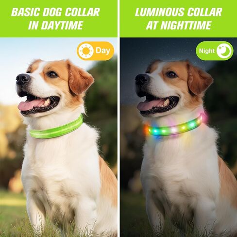 LED Cog Collar ، طوق الكلب الإضاءة ، USB قابلة للشحن - ألمع أضواء الكلاب للمشي الليلي ، 6 أوضاع ضوئية ، قابلة للتعديل لسلامة الكلاب (كبيرة ، أزرق ملكية) in Kuwait