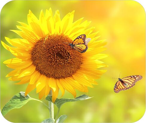 Floral Pattern Flower Mouse Pad Mat Mousepad for Desk Computer Laptop PC Gaming Home or Office Gift for Her Flowers (Sunflower MP99) in Kuwait