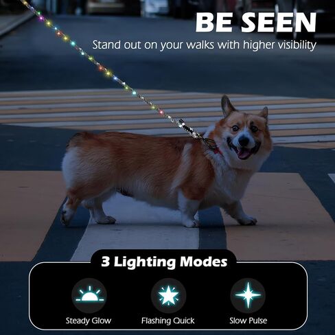 PetBonus 5 FT LED Dog Leash, Rechargeable Light Up Rope Dog Lead, 3 Lighting Modes, Thick Soft Padded Handle, Safer Night Walking for Small Medium Dogs (Black) in Saudi Arabia