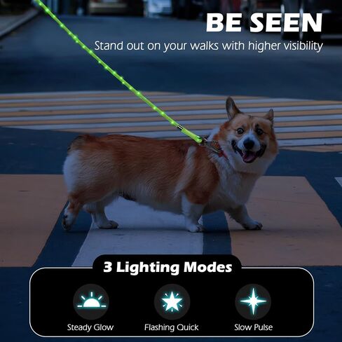 PetBonus 5 FT LED Dog Leash, Rechargeable Light Up Rope Dog Lead, 3 Lighting Modes, Thick Soft Padded Handle, Safer Night Walking for Small Medium Dogs (Black) in Saudi Arabia